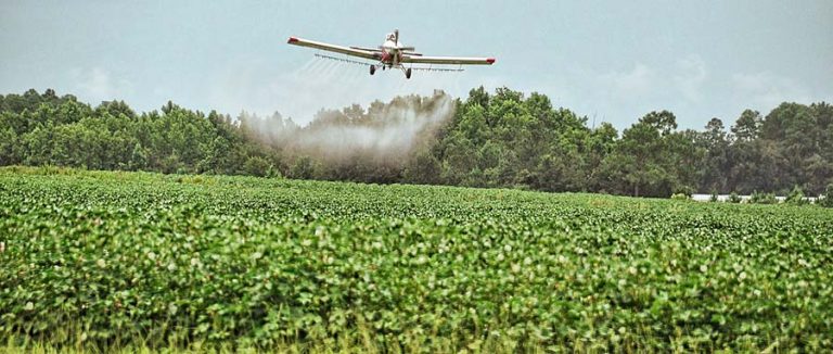 Airplane spraying pesticides over crops