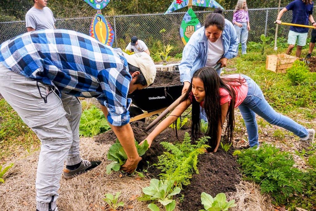 Group of volunteers working on a community garden