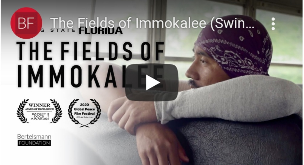 The fields of Immokalee documentary
